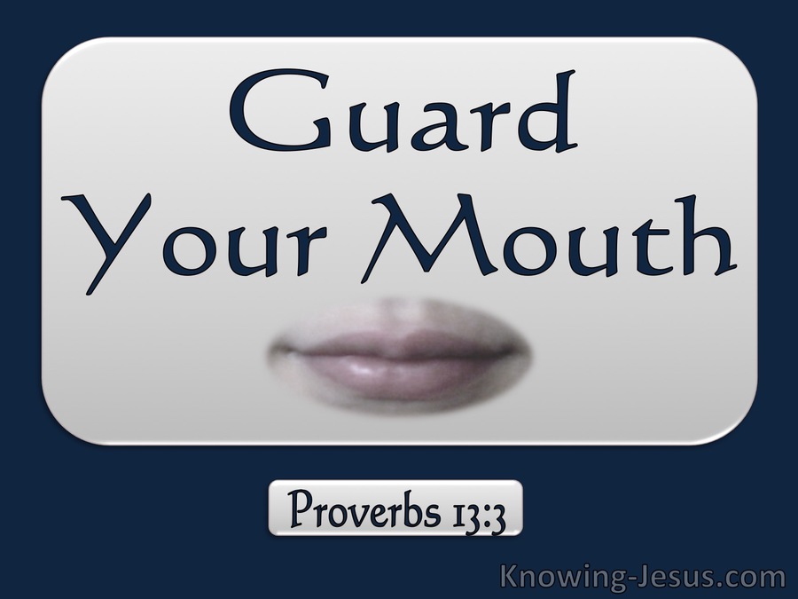 Proverbs 13:3 Guard Your Mouth (blue)